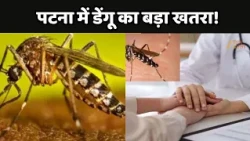 Patna Dengue Alert:पटना में डेंगू का बड़ा खतरा!