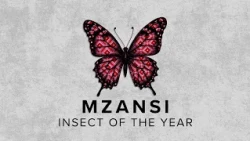 Mzansi Insect of the Year | News24