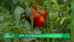 AFIR, €33.5 million for vegetable farming 07/13/2026