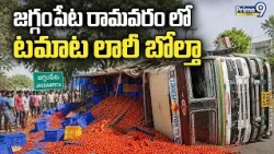జగ్గంపేట రామవరం లో టమాట లారీ బోల్తా |  Lorry Acc*ident in Kakinada | Jaggapeta | Prime9News