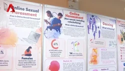 Four in 10 people in Singapore have experienced online harm: SHE study