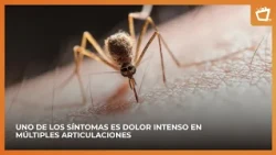 Chikungunya