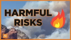 What happens if wildfire smoke particles reach your brain?