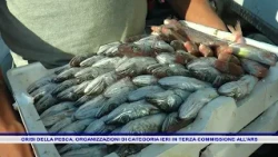 FISHING CRISIS: TRADE ORGANIZATIONS MEETED YESTERDAY IN THE THIRD COMMISSION OF THE ARS