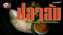 Pla Som | Land of the Wedding Feast