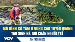 Sturgeon farming model in the highlands of Tuyen Quang creates livelihoods and keeps youth at hom...