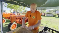 The traditional corn husking festival returns, hosted by the Val di Magra Threshers 08/31/2026