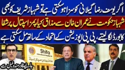 If Yousaf Raza Gilani Can Be Convicted, So Can Shehbaz Sharif! Qadir Mandokhail Makes Major Claims