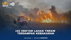 192 Hektar Lahan TNRAW Terdampak Kebakaran