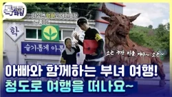 아빠와 딸이 함께! 청도 한 바퀴 여행 코스🚗💨
