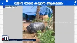 തൃശ്ശൂർ മയിൽ പറമ്പിൽ ബാലന്റെ വീടിന് നേരെ കാട്ടാന ആക്രമണം; വീട്ടുപറമ്പിലെ സാധനങ്ങൾ നശിപ്പിച്ചു
