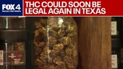 Texas judge weighs pause on statewide hemp ban