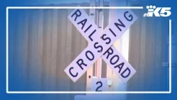 Man in wheelchair hit and killed by train