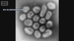 Flu Vaccine Rollout May Start Early Amid Unusually Fast Flu Season Spread – MHLW (September 4, 2026)