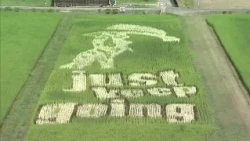 The words "just keep going" are clearly visible in the hot summer! The "Eichan Rice Fields" in Mi...