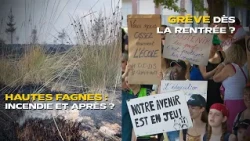 Weekly News: Hautes Fagnes wildfire, teacher strike, and tiger mosquito