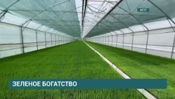 Meget nursery to receive 59.3 million rubles in federal funding for modernization and upgrades
