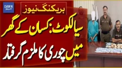 Suspect Arrested for Stealing from Farmer's House in Sialkot | Breaking News | Dawn News
