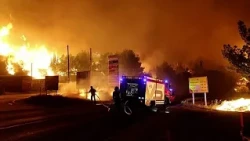 Пожар вынудил эвакуировать тысячу человек на побережье Хорватии