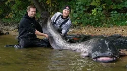 2,92 metros: un pescador alemán captura siluro gigante en un embalse polaco