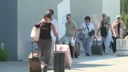 VIJESTI U POLA 7 - PTICE BLOKIRALE AERODROM U TIVTU | Vijesti online
