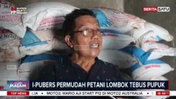 I-Pubers Permudah Petani Lombok Tebus Pupuk | BeritaSatu Malam