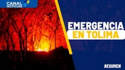 Presidente Abelardo de la Espriella anuncia grupo élite por incendios en Tolima | Noticias Canal 1