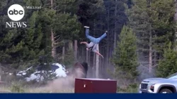 Bison attacks tourist at Yellowstone Park