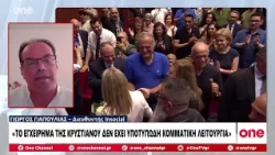 Παπούλιας: «Εμβληματική ανεπάρκεια της κυβέρνησης με τα ιδιωτικά πανεπιστήμια»
