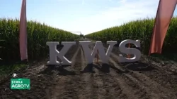KWS, Performance in the Fields of Ialomița 08/31/2026
