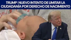 President Trump: New attempt to limit birthright citizenship | FOX 7 Español