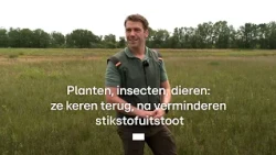 Less nitrogen leads to flourishing nature here • RTL Z
