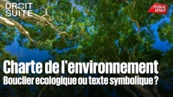 Environmental Charter: Ecological shield or symbolic text?