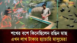 মাত্র ৬০টি দিয়ে শুরু, এখন হাজার হাজার রঙিন মাছে ভর্তি মাসুমের হ্যাচারি! | Bangla TV
