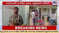 Government Veterinary Hospital in Amod, Bharuch, in Dilapidated Condition | TV9Gujarati