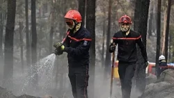 Двое пожарных погибли во Франции при тушении огня у аэропорта Бордо