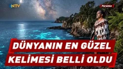 75 Languages Analyzed, the Most Beautiful Word Was Chosen! That Word from Turkish Is in 15th Plac...