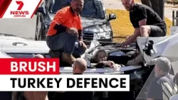 Mother blames brush turkey and health drink for crash | 7NEWS