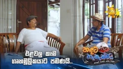 එළවලු කෑම ගෘහමූලිකයාට පමණයි.. | Handata Hethakmai - හඳට හැතැක්මයි