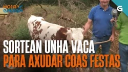SORTEAN unha VACA para axudar coas FESTAS | HORA GALEGA
