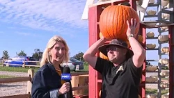 Maple Lawn Farms hosts fall fun for families of all sizes