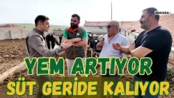 Yem Artıyor, Süt Geride Kalıyor!