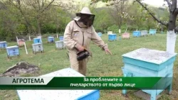 Агротема: За проблемите в пчеларството от първо лице