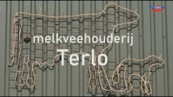 Bergeijk Senior Association visits Terlo dairy farm