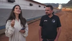 Biossegurança é essencial para garantir saúde e qualidade na produção de frangos | Interligados