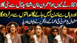 "Khan Is Not Fleeing Anywhere!" Senator Mashal Yousafzai Explosive Address Shakes The Senate