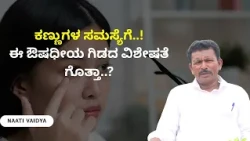 ಕಣ್ಣುಗಳ ಸಮಸ್ಯೆಗೆ..! ಈ ಔಷಧೀಯ ಗಿಡದ ವಿಶೇಷತೆ ಗೊತ್ತಾ..? NAATI VAIDYA