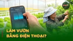 Digital Age Gardening: How Technology Is Changing Plant Care | QPVN