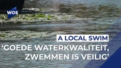 Local Swim in De Lier can go ahead