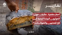 Explosive Rocks: How the Houthis Turned the Yemeni Environment into a Trap for Civilians and Anim...